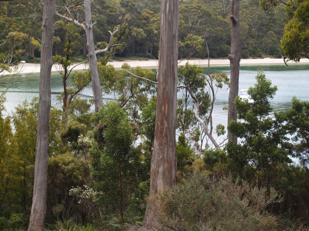 Lodge Stewarts Bay *